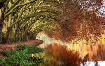 Praesentium fugit odio aut sint harum