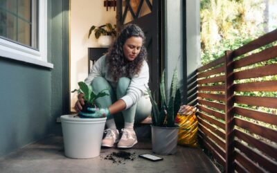 Suscipit autem enim molestias placeat vitae et